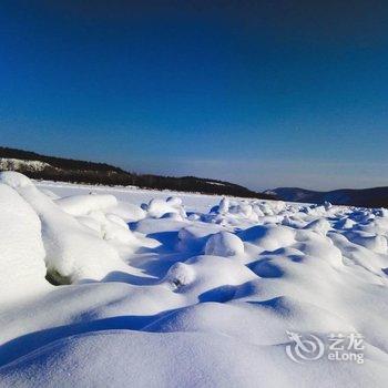 大兴安岭任庆斌特色民宿酒店提供图片