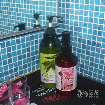 琼海健康假日别墅酒店提供图片