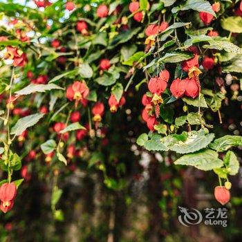 大理木子里客栈