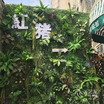 广州红猪旅馆