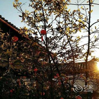 丽江凯瑞居客栈