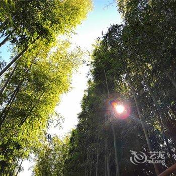 腾冲悦宿民宿酒店提供图片