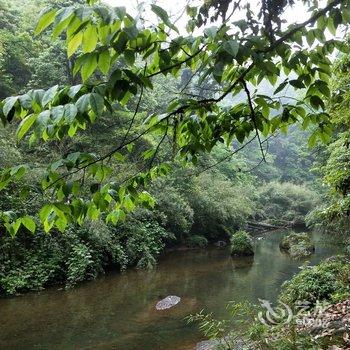 雅安龙苍沟翔贺客栈心牵儿(4号店)酒店提供图片