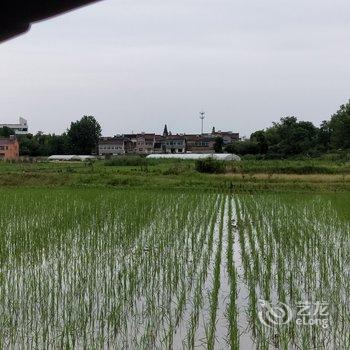 南山竹海有院子阳光房青龙阁别墅酒店提供图片