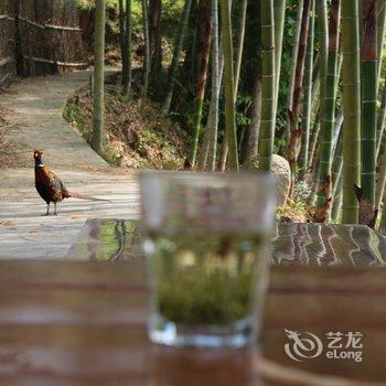 岳西兰溪雨山居别墅(3号店)酒店提供图片