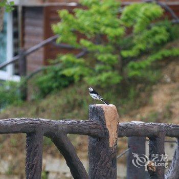 岳西兰溪雨山居别墅(3号店)酒店提供图片