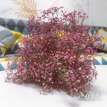 兰州花家小房公寓酒店提供图片