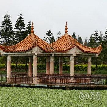 玉溪九兔子公寓酒店提供图片