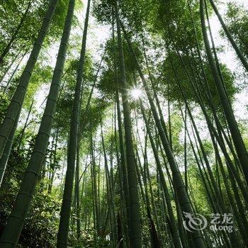 丽水半岭村宿度假别墅酒店提供图片