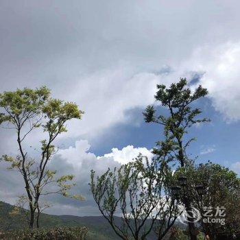 玉溪九兔子公寓酒店提供图片
