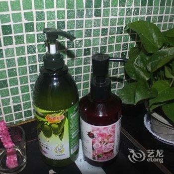 琼海健康假日别墅酒店提供图片