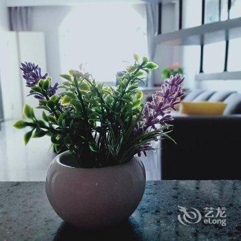 牡丹江喵小姐的望江公寓酒店提供图片