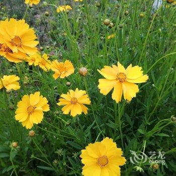 天目湖缘来小家民宿酒店提供图片