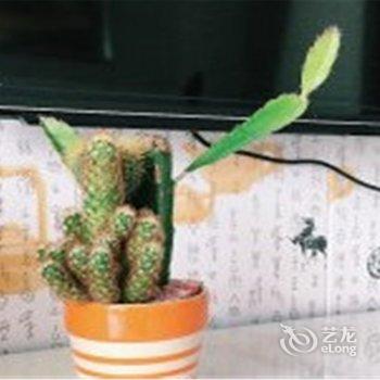 宕昌黄翠翠公寓酒店提供图片