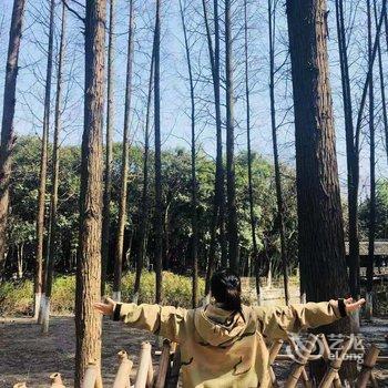 乌镇许院银杏tree主题客栈酒店提供图片