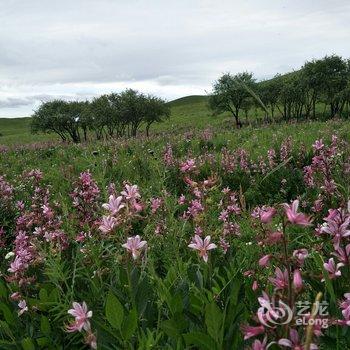 赤峰乌兰布统走近草原观景房公寓酒店提供图片