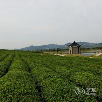 南山竹海有院子阳光房青龙阁别墅酒店提供图片