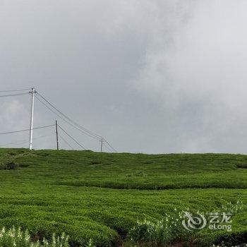 南山竹海有院子阳光房青龙阁别墅酒店提供图片