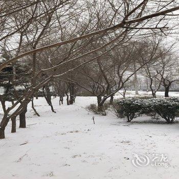 泰安泰安沐沐的家呀公寓酒店提供图片