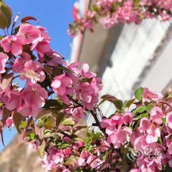 ��¡����֮��ũ��Ժ�Ƶ��ṩͼƬ