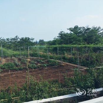 漳州火山岛缘来民宿酒店提供图片