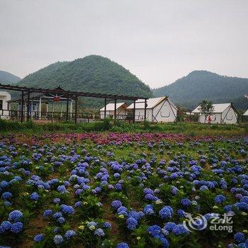 长顺凤凰壹号客栈酒店提供图片