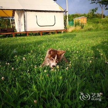 长顺凤凰壹号客栈酒店提供图片