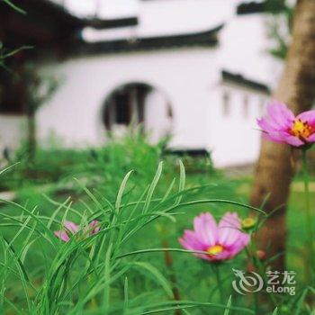 泾县祥园客栈酒店提供图片