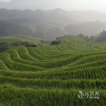 桂林金坑梯田小小丫客栈酒店提供图片