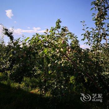 中卫漠翠庄园特色民宿酒店提供图片