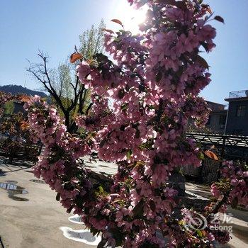 ��¡����֮��ũ��Ժ�Ƶ��ṩͼƬ