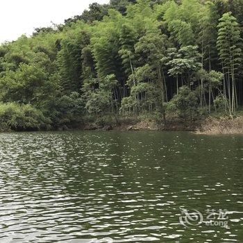 咸宁竹林人家山庄特色民宿(方家冲分店)酒店提供图片