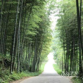 咸宁竹林人家山庄特色民宿(方家冲分店)酒店提供图片