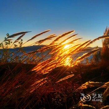 澄江悄咪咪野居客栈酒店提供图片