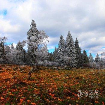 和龙金达莱朝鲜人家民俗村酒店提供图片