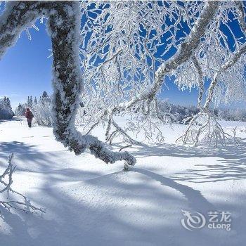 和龙金达莱朝鲜人家民俗村酒店提供图片