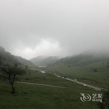 关山草原桦溪宿上树屋民宿酒店提供图片