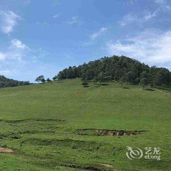 关山草原桦溪宿上树屋民宿酒店提供图片