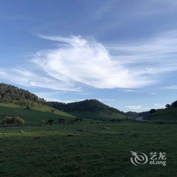 关山草原桦溪宿上树屋民宿酒店提供图片