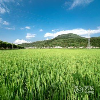 腾冲半坡沁院·森林花园客栈酒店提供图片