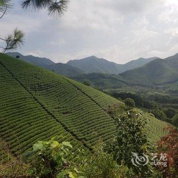 溧阳南橘野舍酒店酒店提供图片