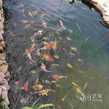 天目山月亮玖号民宿酒店提供图片
