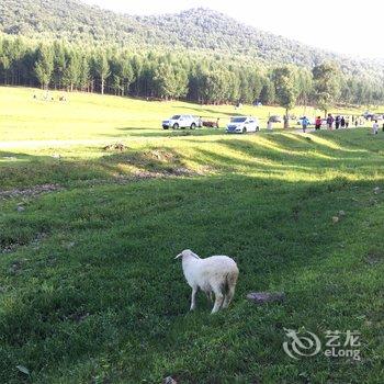 赤峰与山与舍特色民宿酒店提供图片