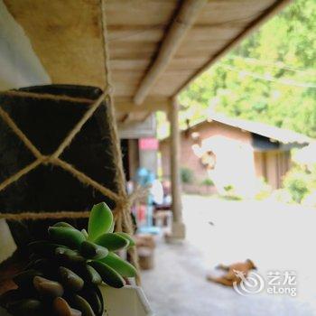 青木川有户人家十三民宿酒店提供图片