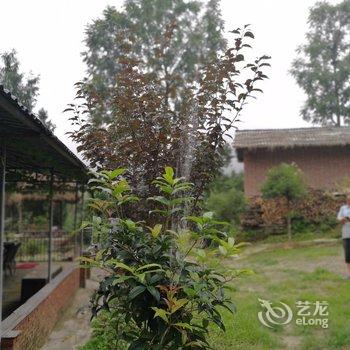 青木川有户人家十三民宿酒店提供图片