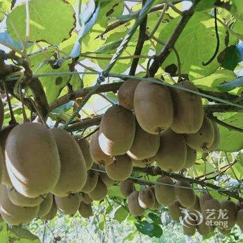 天目山月亮玖号民宿酒店提供图片