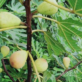 天目山月亮玖号民宿酒店提供图片