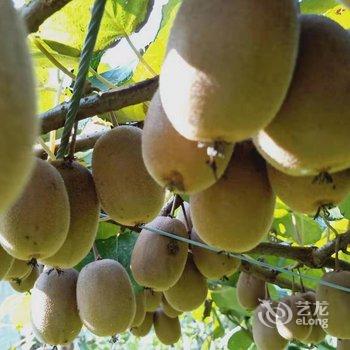 天目山月亮玖号民宿酒店提供图片