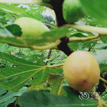 天目山月亮玖号民宿酒店提供图片
