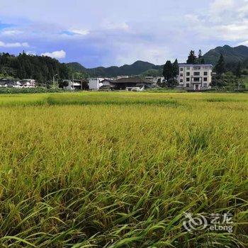 永泰同安书院客栈酒店提供图片